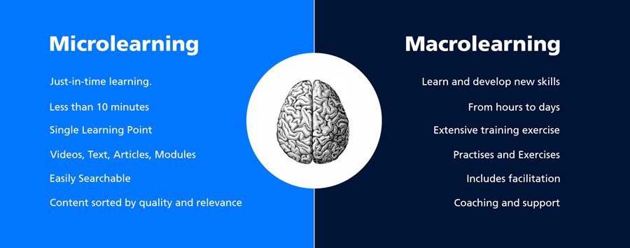 Mircolearning vs Macrolearning